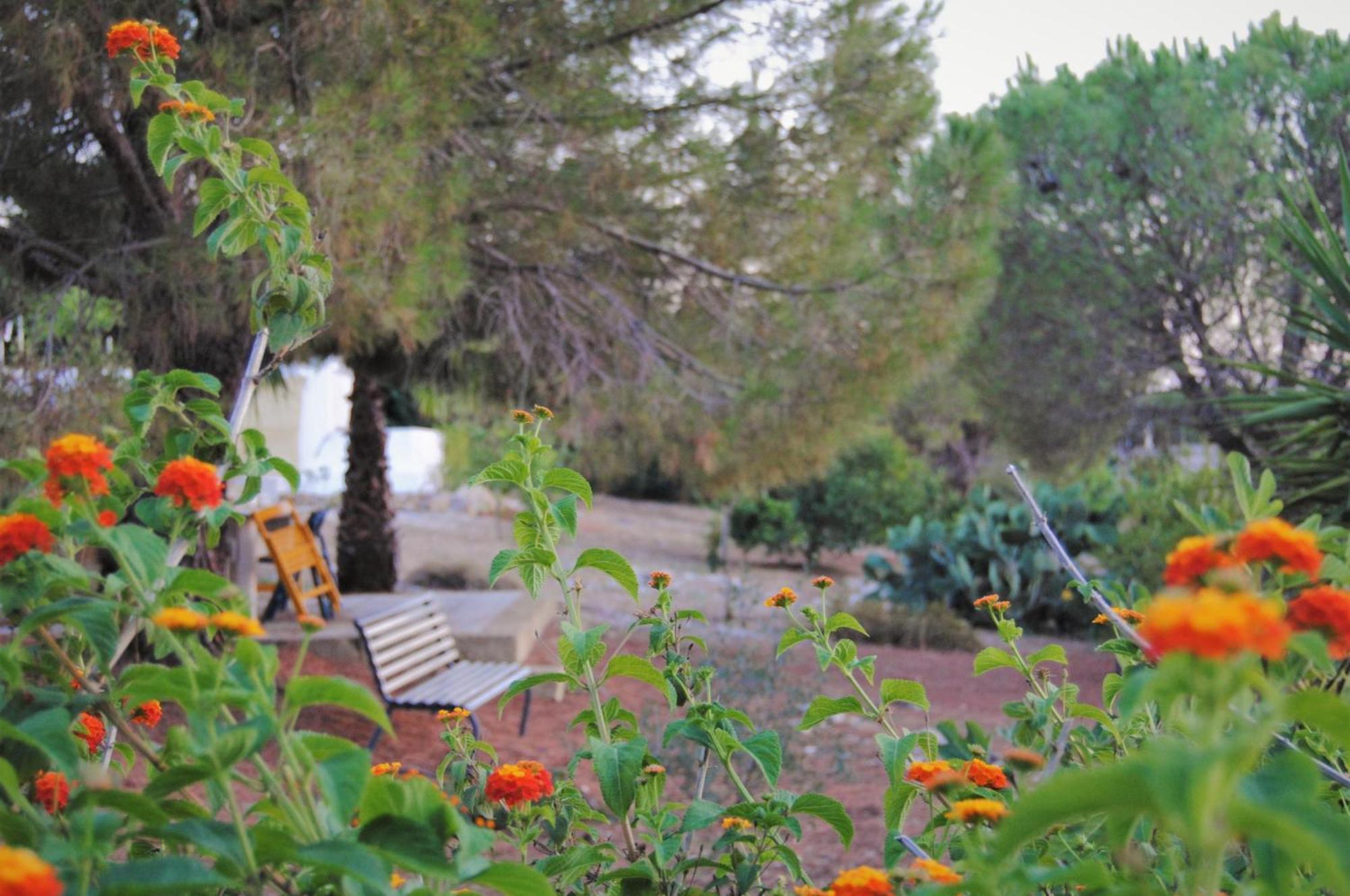 Villa Carola Gallipoli Exterior foto